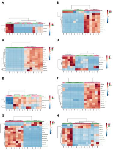 Figure 4 Heatmap of differentially expressed metabolites in the serum (A), colon (B), heart (C), liver (D), kidney (E), cortex (F), hippocampus (G), and brown fat (H) samples in dextran sulfate sodium and control groups. The color of each section is proportional to the significance of the change in metabolites (red, up-regulated; blue, down-regulated). Rows correspond to the samples, columns correspond to the metabolites.