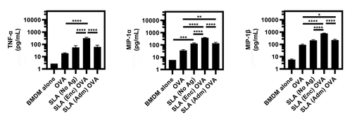 Figure 4. Cytokine and chemokine expression by BMDMs upon in vitro stimulation with SLA (Enc) and (Adm) vaccine formulations.