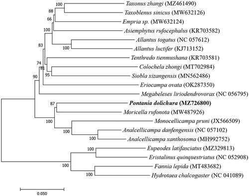 Figure 1. The Neighbor-joining phylogenetic tree based on 20 mitochondrial genome sequences.