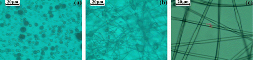 Figure 8 OM images of nano/microspherical particles (a), beaded nano/microfibers (b), and nano/microfibers (c) obtained by electrospinning process of the PCEMA-b-PMMA-b-PMAdU solutions.