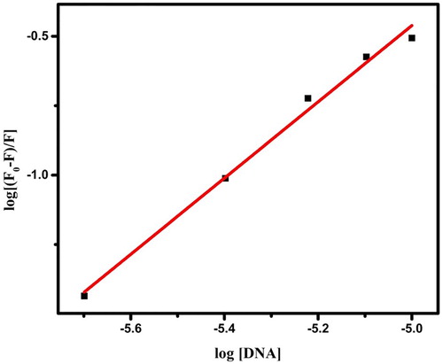 Figure 11. The plot of log (F0-F) /F versus log [CT-DNA].