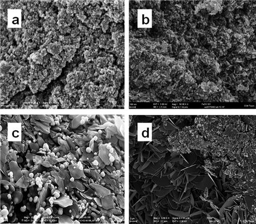 Figure 10. SEM images of the products of ferrocene treatment at 8 GPa and 800 (a), 1100 (b), 1300 (c), and 1500°C (d). Light spherical particles are iron carbides coated with a carbon shell; dark flake-like platelets represent graphite.