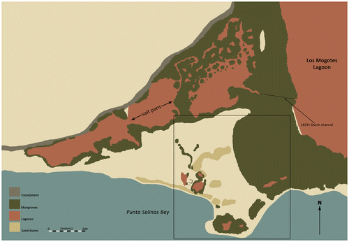 FIG. 4 Map of the saltpans and Los Mogotes Lagoon surrounding the site of Punta Salinas.