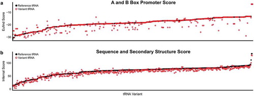 Figure 6. Predicted effect of tRNA variation on expression and function. The (a) EufindtRNA score and (b) Infernal score for each variant tRNA (red circle) and its reference tRNA (black circle) was computed using tRNAscan-SE [Citation36] and rank ordered from lowest to highest reference tRNA score.