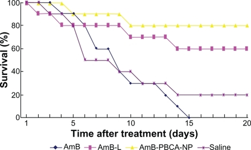 Figure 3 Survival rate of mice under different treatments. All amphotericin B (AmB)-treated mice died within 15 days. In contrast, 80% of the mice survived after amphotericin B-polybutylcyanoacrylate nanoparticle (AmB-PBCA-NP) injections, and 60% survived after amphotericin B liposome (AmB-L) treatment (n = 20/group).