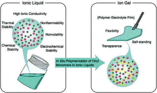 Figure 21. In situ polymerization of vinyl monomers dissolved in an ionic liquid to produce an ionic gel. Figure reprinted with permission from [Citation131] (Copyright 2009 American Chemical Society).