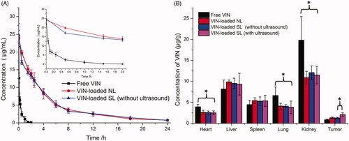 Figure 3. Plasma VIN concentration-time profiles after i.v. injection of different formulations in rat (n = 3) (A). Concentration of VIN in the major organs 0.5 h after i.v. injection (B). The data are presented as the means ± SD (n = 3). * indicates p < .05.