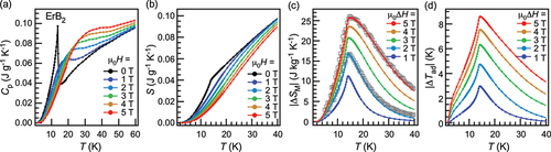 Figure 3. (a) Specific heat of ErB2 under various magnetic fields. (b) Entropy curves of ErB2 under magnetic fields deduced from data in (a). (c) |ΔSM| of ErB2, obtained from data in (b). Gray open squares denote |ΔSM| estimated from magnetization curves (supplemental information S1). (d) ΔTad of ErB2, obtained from data in (b).