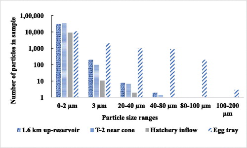 Figure 10. Particle size spectrum showing similarity in neritic layer particles from 2 sites in Camanche Reservoir. There were few particles above 80 µm except for those that had accumulated in the egg trays.