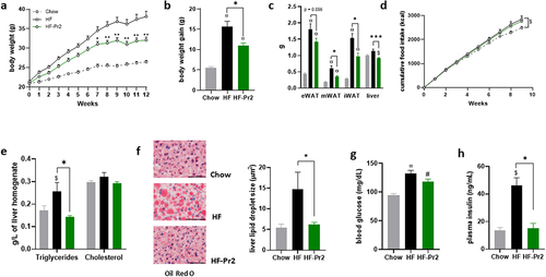 Figure 1. Supplementation with the probiotic mix attenuates weight gain and fat mass accumulation and metabolic alterations in HF diet-fed mice. (a) body weight evolution (n = 12–16). (b) body weight gain at 12 weeks. (c) epididymal white adipose tissue (eWAT), mesenteric white adipose tissue (mWAT), inguinal white adipose tissue (iWAT) and liver weights at sacrifice. (d cumulative food intake recorded during 10 weeks. (e) liver triglycerides and total cholesterol. (f) oil-red O liver sections and liver lipid droplet size (n = 6–12); 60× magnification; bar = 25 µm. (g) fasting blood glucose level (n = 15–16). (h) fasting plasma insulin level (n = 5). Data are mean ± SEM. $p <0.05, #p <0.01, ¤p <0.001 versus the Chow diet group and *p <0.05, **p <0.01, ***p <0.001 for the HF-Pr2 versus the HF group.