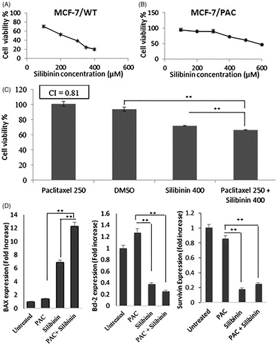 Figure 6. Growth inhibitory and chemo-sensitizing effects of silibinin in MCF-7 cells. Dose-response curve for the growth inhibitory effects of silibinin in (A) MCF-7/WT cell line and (B) MCF-7/PAC cell line. (C) The anticancer effects of PAC in combination with silibinin in MCF-7/PAC. (D) The effects of PAC and/or silibinin after 48 h incubation with MCF-7/PAC cells on the expression level of apoptosis-related proteins measured with RT-PCR.