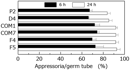 Fig. 7. Comparison of the frequency of appressorium formation by the wild type and PoNBS1 mutants. The conidia from each strain were incubated at 25 °C for 6 or 24 h after inoculation. Each data point represents the mean ± SE (n ≥ 100).