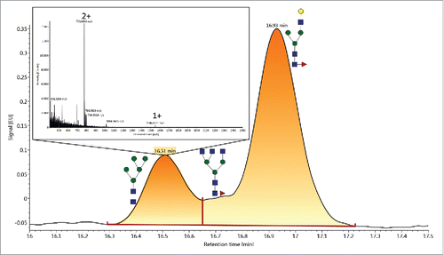 Figure 5. The FLR trace showing the enhanced resolution of M5 from other glycans with similar retention times. This was achieved using a slightly different set of separation conditions (see the experimental section) to achieve a more accurate abundance level of the M5 glycan. Using these altered conditions, M5 was determined to have a normalized abundance level of 0.95 ± 0.04%.