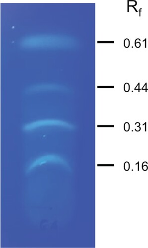 Figure 4. Analysis of ethyl acetate extract of M. guilliermondii by thin-layer chromatography.