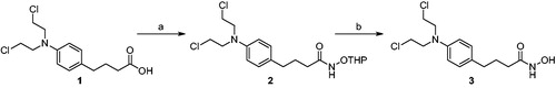 Scheme 1. Synthesis of compound 3. Reagents and conditions: (a) NH2OTHP, EDC, DIPEA, DMF, rt, 12 h; (b) 1 N HCl, CH2Cl2, rt, 1 h, 34% (2 steps).