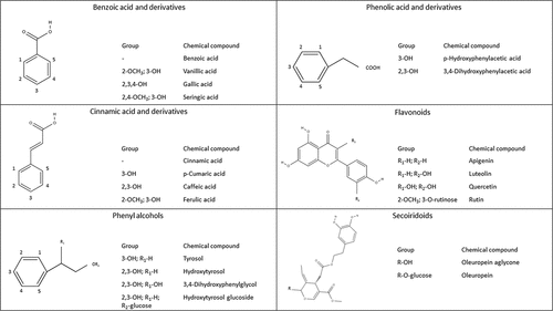 Figure 3. Chemical structure of phenolic compounds mostly obtained from bio-waste from olive oil production.[Citation46–52]