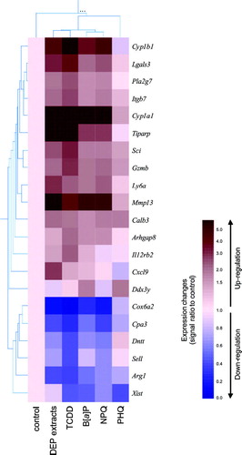 FIG. 6 Hierarchical clustering analysis of the genes that were either up- or down-regulated by a 24 hr exposure to DEP extracts or their constituents. Values obtained from Affymetrix GeneChip analysis were normalized using the mean of the vehicle-treated controls (cream color), and hierarchical clustering was performed using GeneSpring. The results are presented as the mean of ratio of the signal intensities from two independent experiments. Up-regulated genes appear red while down-regulated genes appear blue.