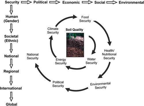 Figure 4 Securitization of food and the environment through soil sustainability. Updated from Lal (Citation2012).