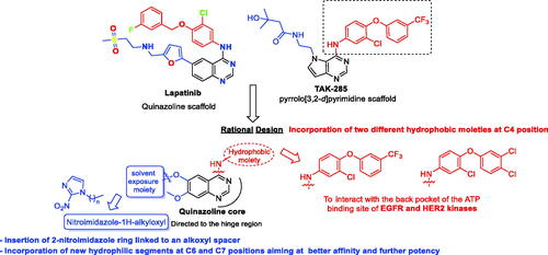 Figure 2. Rational design of the new TAK-285 derivatives 9a–h.