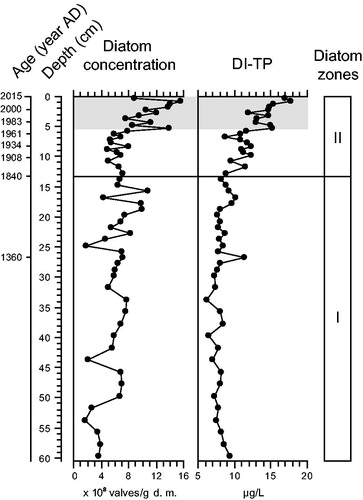 Figure 7. Stratigraphic variation profiles of the diatom absolute concentration and diatom-inferred total phosphorus (DI-TP) concentrations in the composite core. The black line (1840 AD) delimits the 2 statistically distinct diatom zones, whereas the gray shaded area marks the period of modern settlement in the catchment (i.e., 1971–2015).