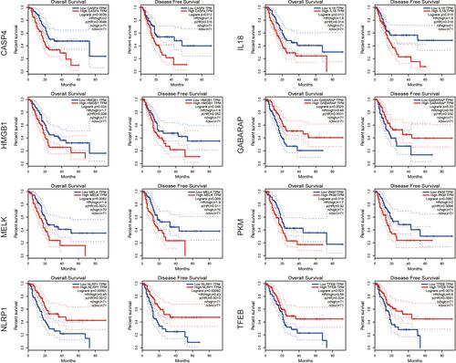 Figure 2 CASP4, IL18, HMGB1, GABARAP, MELK, NLRP1, PKM and TFEB have prognostic value in PAAD. Higher expression of CASP4, IL18, HMGB1, MELK and PKM are associated with short OS and DFS. Higher expression of GABARAP, NLRP1 and TFEB make a contribution to a better OS and DFS.