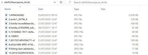 Figure 2. A Windows explorer folder view displaying downloaded visual data. Screenshot by the author 28 September 2021.