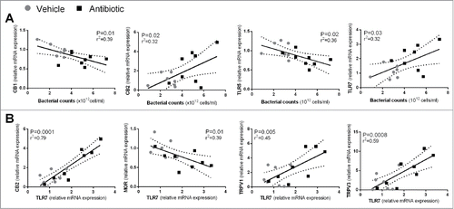 Figure 6. (A) Correlations between total luminal bacterial counts and sensory-related (CB1 and CB2) markers or TLRs. (B) Correlations between expression levels of TLR7 and sensory-related markers. Each point represents an individual animal. Broken lines represent the 95 % confidence interval.