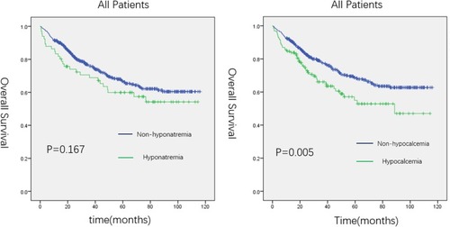 Figure 1 Kaplan–Meier curve for overall survival (OS) in patients with hyponatremia or hypocalcemia and those without.