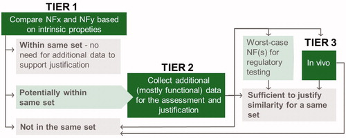Figure 1. Tiered approach for building and justification of sets of nanoforms.