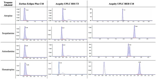 Figure 3. Chromatograms (intensity vs time, min) of atropine, scopolamine, anisodamine and homatropine using different columns, namely, Zorbax Eclipse Plus C18, Acquity UPLC HSS T3 and Acquity UPLC BEH C18.