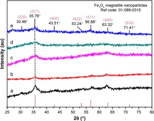 Figure 2 Powder X-ray diffraction patterns of Fe3O4-NPs without (a) and with different concentrations of honey (0.5, 1, 3, and 5% [w/v]) (b–e), respectively.Abbreviations: Fe3O4-NPs, magnetite nanoparticles; ref, reference.