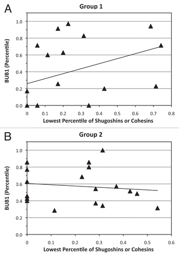 Figure 3 Correlation curves for BUB1 compared with minimal expression of shugoshins or mitotic cohesins (STAG1, SMC1A, SMC3, RAD21, SGOL1 and SGOL2). (A) significant positive correlation (rho = 0.60, p < 0.01) within group 1 oocytes. (B) Absence of a significant correlation (rho = -0.20, p = 0.43) in group 2 oocytes.