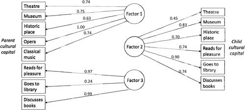 Figure 1. Factor analysis of cultural capital measures (rotated factor loadings).
