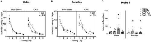 Figure 3. Barnes Maze was conducted starting on PND 95 after 3 weeks of repeated LPS injections. No LPS injections were given during acquisition, probe, or reversal. During acquisition training for the Barnes Maze task there were no changes in summed latency to target (A, B). stress history and LPS exposure history interacted to alter latency to locate the target position during Probe 1 in males (C). Males with a history of stress without LPS exposure history, showed an increased latency to locate the goal box position in Probe 1. In females, previous exposure to repeated LPS increased the latency to locate the goal box position in Probe 1 regardless of stress history. *p < 0.05. Bars represent mean ± SEM.