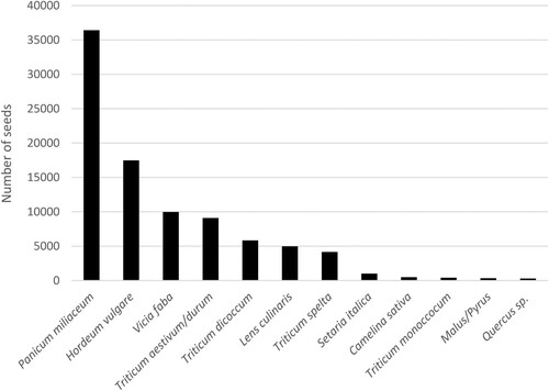 Figure 9. Overall number of carbonised plant remains per species (not including cf.) from the western and eastern part of the Bronze Age house at Kalnik-Igrišče.