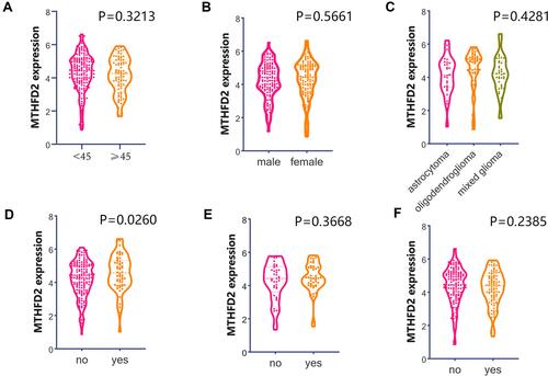 Figure 2 The association analysis of MTHFD2 mRNA expression with clinical phenotypes of patients using TCGA-LGG data. (A) Age. (B) Gender. (C) Tumor subtypes. (D) IDH mutation status. (E) Pharmaceutical therapy. (F) Radiation therapy.