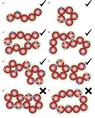 Figure 4. Examples of the association aggregates that can be found in a fluid of chain molecules shown in (a) with multiple association sites, A, B, C,….The check marks and crosses indicate whether the aggregate type is accounted for by the theory presented in our current work or not: (a) monomer species; (b) intramolecular ring; (c) open chain aggregate; (d) intermolecular ring containing only one type of site–site bond (B–C); (e) intramolecular ring with a C–E bond associated to an A–E intramolecular ring; (f) branched A–E intramolecular ring; (g) molecule involved in more than one ring; and (h) ring involving more than one type of site–site interaction.