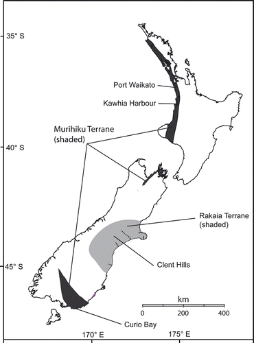 Fig. 1 Locality map of Jurassic sites in New Zealand, showing terranes (modified from Bishop et al. Citation1985) and localities mentioned in the text.