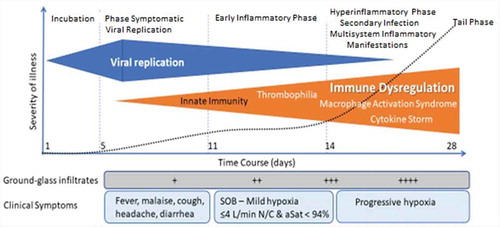 Figure 1. The Phases of COVID-19. SARS-Cov-2 infection begins with an asymptomatic period of viral incubation. As viral replication accelerates, an influenza-like illness may appear. Lung involvement begins the early inflammatory phase which can proceed to a late inflammatory phase with accompanying secondary infections and a coagulopathy. The viral load is typically falling while the inflammatory state intensifies. This phase often includes disease of multi-organ systems. Elevated cytokine levels suggest an autoimmune process as the cause. The pneumonia may lead to acute respiratory distress with severe hypoxia. In those patients who recover, there can occur a prolonged period of symptoms and disability. This “tail phase” can continue for many months