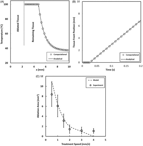 Figure 3. Validation of the computational model against analytical and experimental results. (A) temperature profile of analytical and computational models, (B) tissue front position of analytical and computational models, and (C) Ablation area obtained experimentally and from the computational model [Citation9].