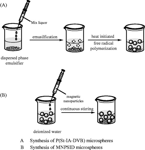 Scheme 1. Schematic illustration of synthesis of P(St-IA-DVB) microspheres and MNPSID microspheres, respectively.