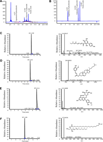 Figure 2 Chemical ingredients analysis of NTF. Representative ingredients of NTF (A) and standards (B). The chromatogram, mass spectrum and structural formula of four compounds: (C) Compound 1; (D) Compound 2; (E) Compound 3; (F) Compound 4.
