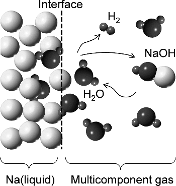 Figure 3. Chemical reaction at interface between water vapor and liquid sodium.