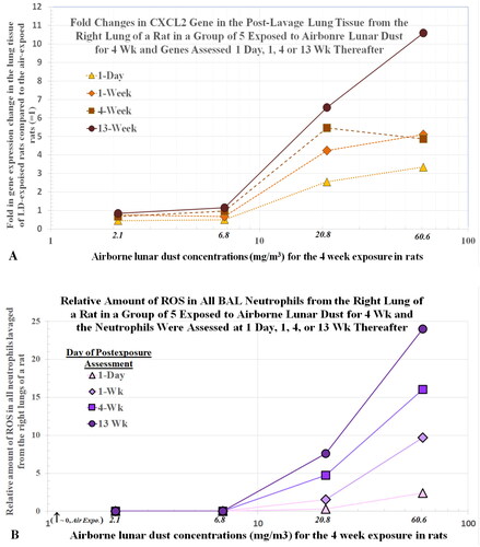 Figure 10. Rats were exposed to lunar dust by inhalation at 0, 2.1, 6.8, 20.8, or 60.6 mg/m3 for 4 weeks and the right lungs were lavaged thereafter at 1 d and 1, 4, and 13 weeks. Post-lavage lung tissues were assessed for CXCL2 gene expression (A). Relative levels of ROS from all BALF neutrophils were estimated by a chemiluminescence assay (B). Each point represents the average data from five rats.