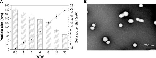 Figure 8 (A) Particle size (columns) and zeta potential (lines) assessment of DHP16 at different W/W ratios from 0.5 to 30. (B) TEM image of DHP16 at a W/W ratio of 8.Abbreviations: DHP, pDNA/HMGB1/PAMAM-SS-PEG-RGD; PAMAM, polyamidoamine; PEG, polyethylene glycol; RGD, arginine-glycine-aspartate; TEM, transmission electron microscopy.