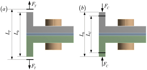 Figure 8. Deformation of the combination structure:(a) the axial tension state (b) the axial compression state.