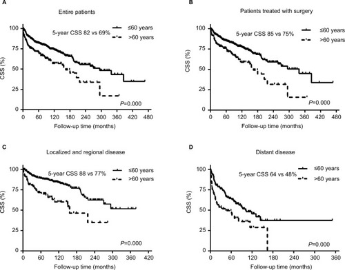 Figure 3 CSS curves of patients aged >60 and ≤60 years.Notes: (A) Overall patients. (B) Patients treated with surgery. (C) Patients with locoregional disease. (D) Patients with distant disease.Abbreviation: CSS, cancer-specific survival.