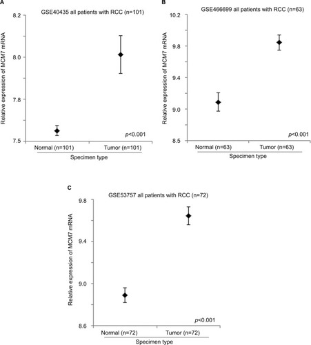 Figure 4 The expression level of MCM7 mRNA in normal and RCC specimens. Error bar plots for the expression level of MCM7 mRNA in normal and RCC specimens in (A) GSE40435, (B) GSE46699, and (C) GSE53757 datasets.