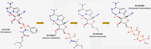 Figure 1. Biosynthesis of remdesivir in human (individual image sourced from PubChem. CID 121304016 (GS-5734), CID 121313150 (GS-704277), CID 44468216 (GS-441524), and CID 56832906 (GS-443902).