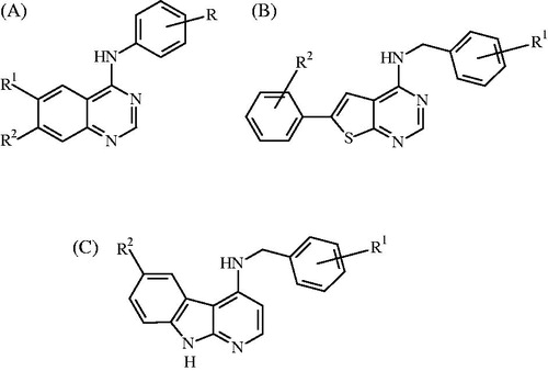 Figure 1. Structure of quinazolines A, thienopyrimidines B and benzopyrrolopyridines C as EGFR inhibitors.